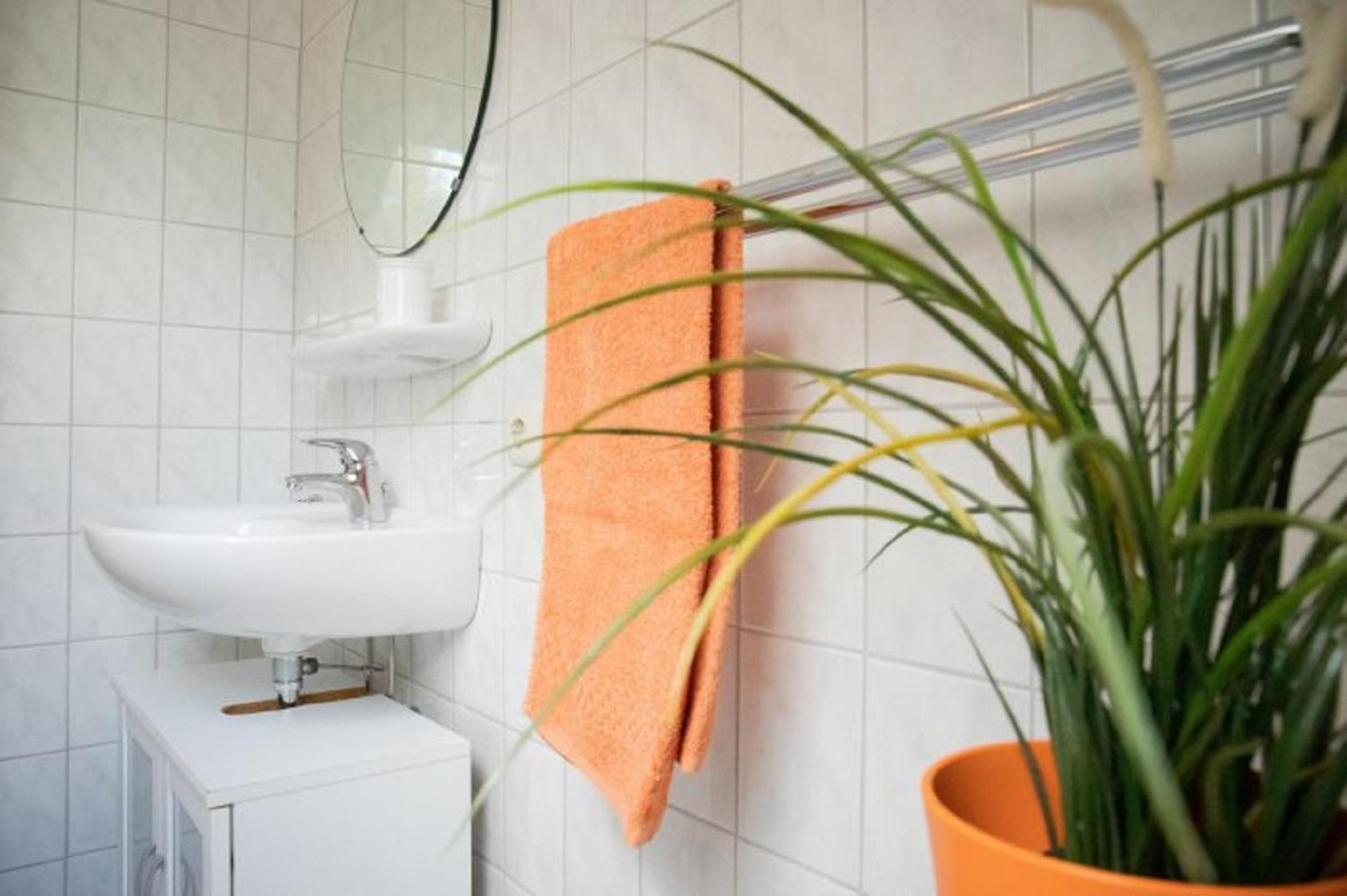 Reiterhof Ekenhoff Apartman Moorweg Kültér fotó